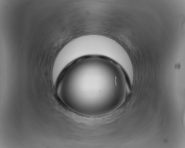 X0000094430039200711151352