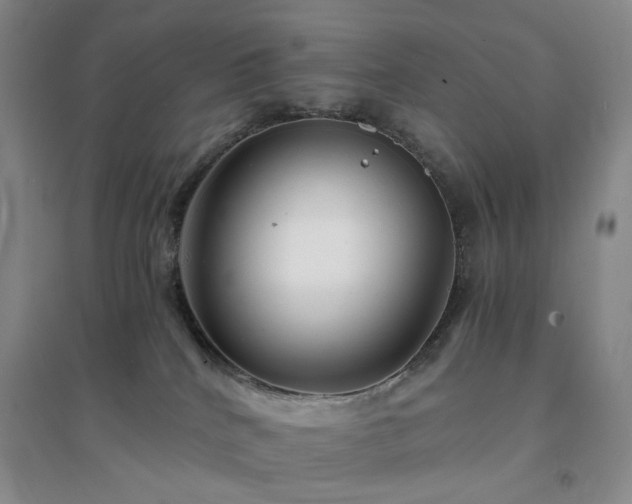 X0000094430040200711151352