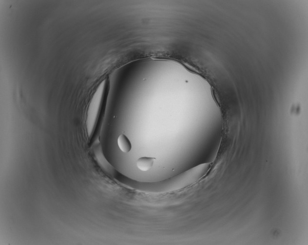 X0000094430041200711151352