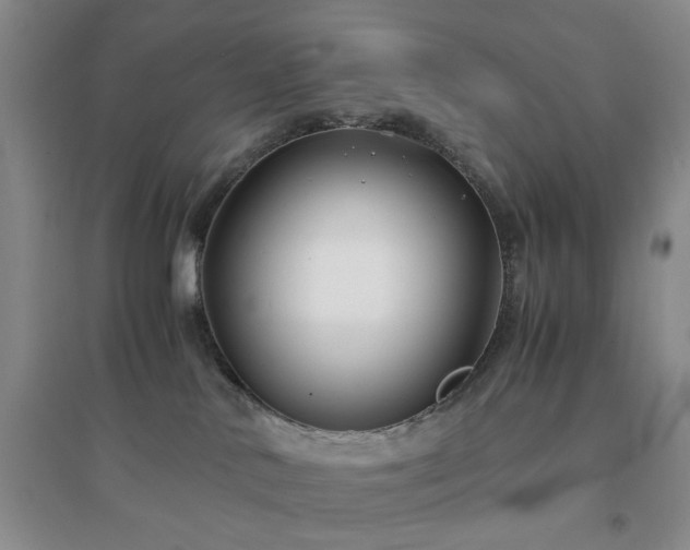 X0000094430042200711151352