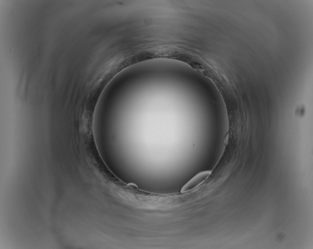 X0000094430044200711151352