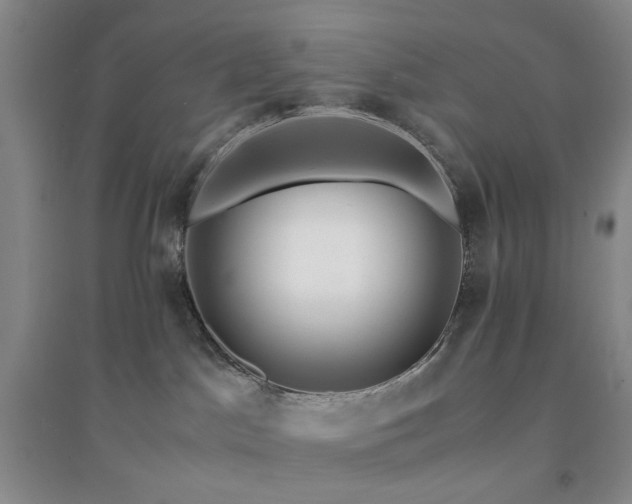 X0000094430045200711151352