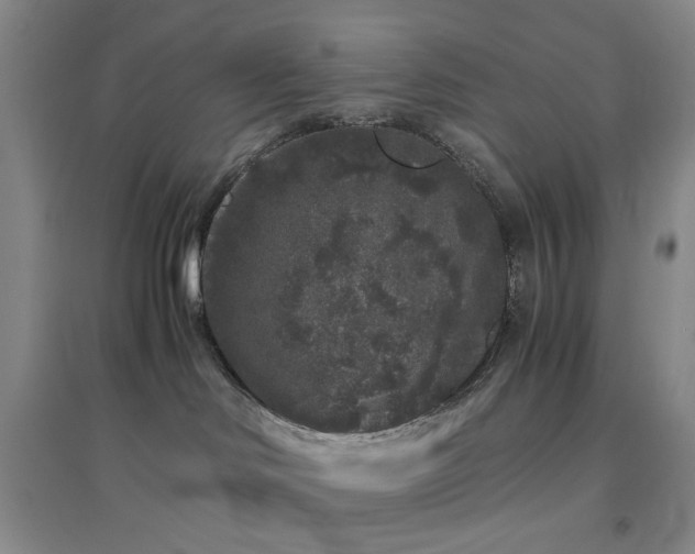 X0000094430046200711151351