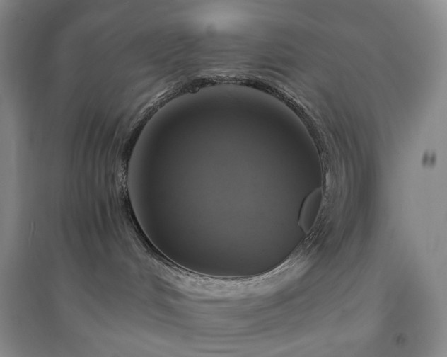 X0000094430048200711151351
