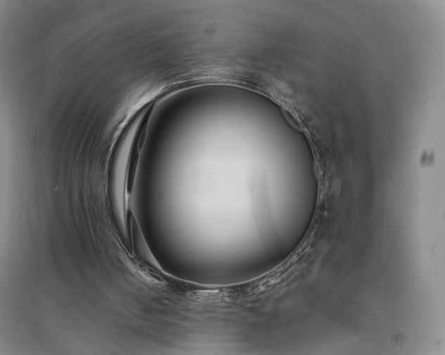 X0000094430050200711151351