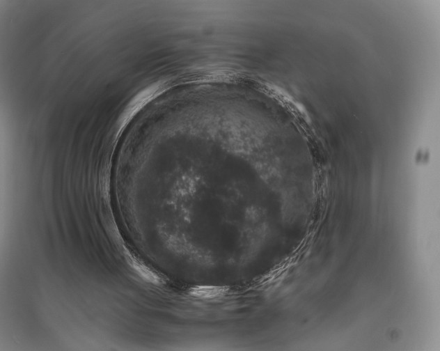 X0000094430051200711151351