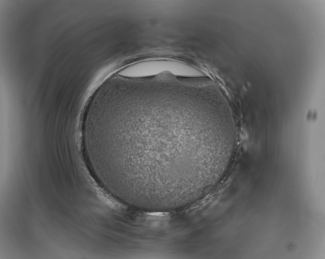 X0000094430053200711151351