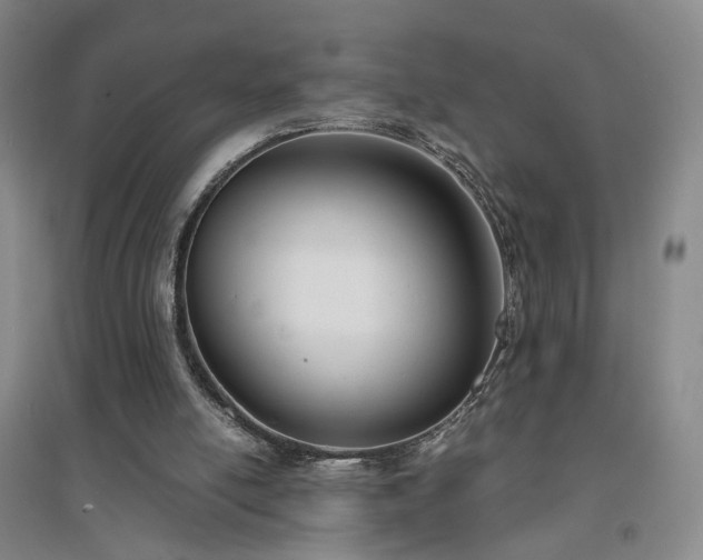X0000094430054200711151351