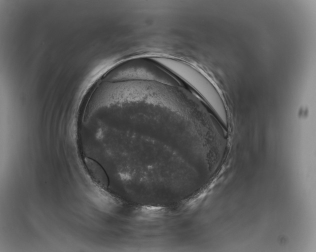 X0000094430055200711151351