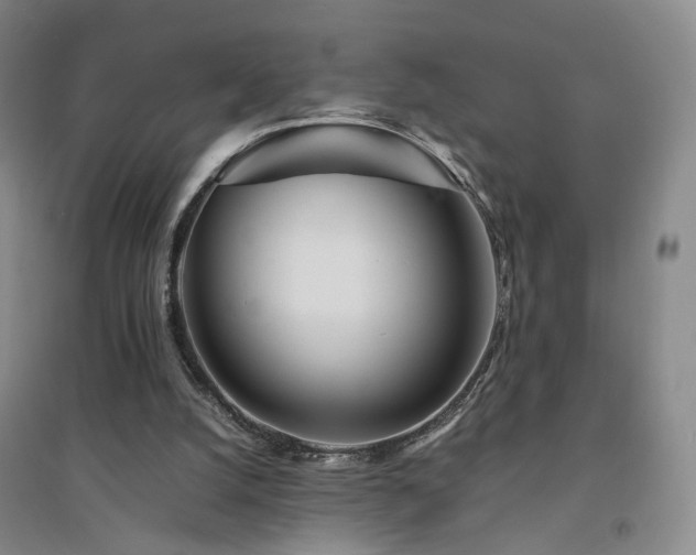 X0000094430056200711151351