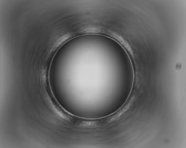 X0000094430057200711151351