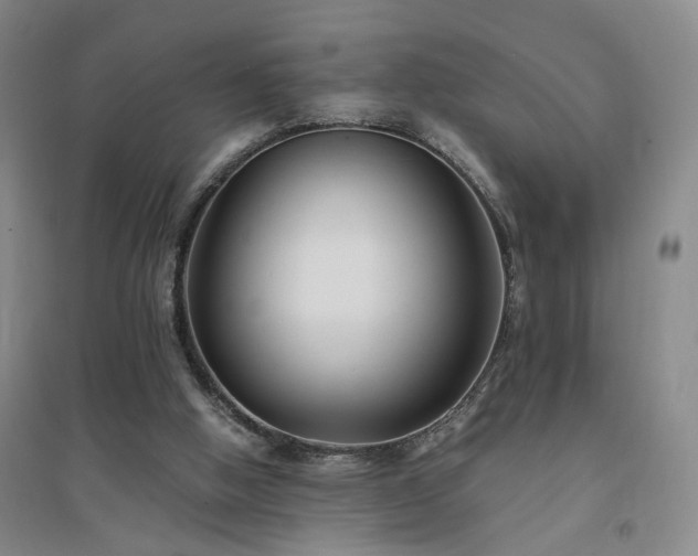 X0000094430058200711151351