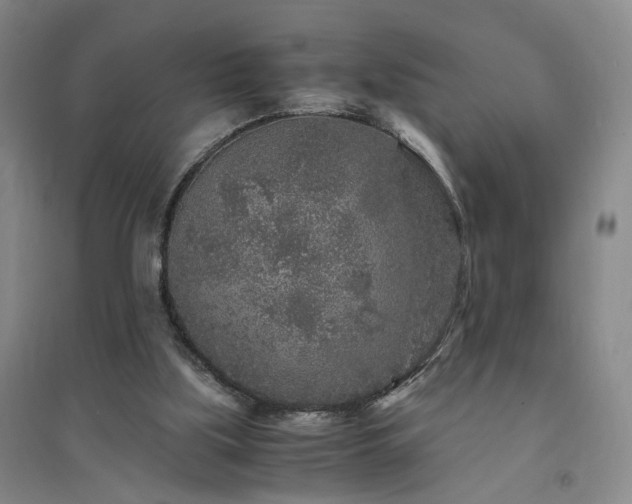 X0000094430059200711151351