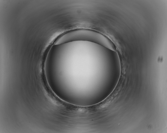 X0000094430060200711151351