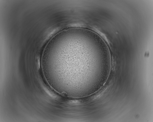 X0000094430061200711151351
