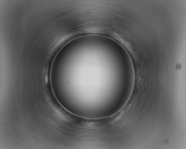 X0000094430062200711151351