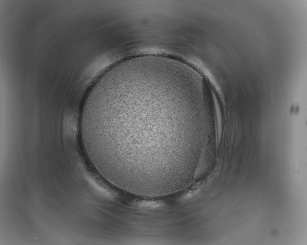 X0000094430063200711151351