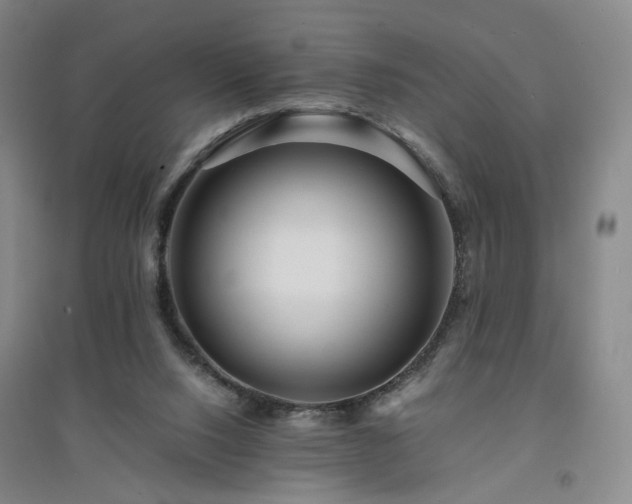 X0000094430064200711151351