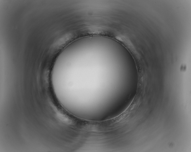 X0000094430066200711151351