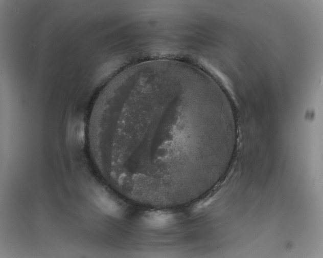 X0000094430067200711151351