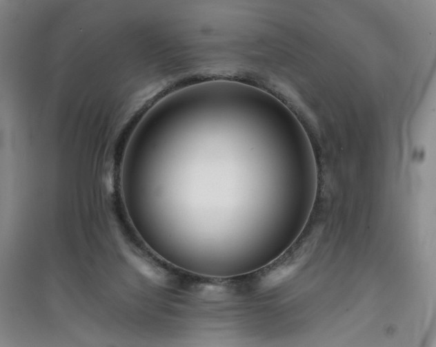 X0000094430068200711151351