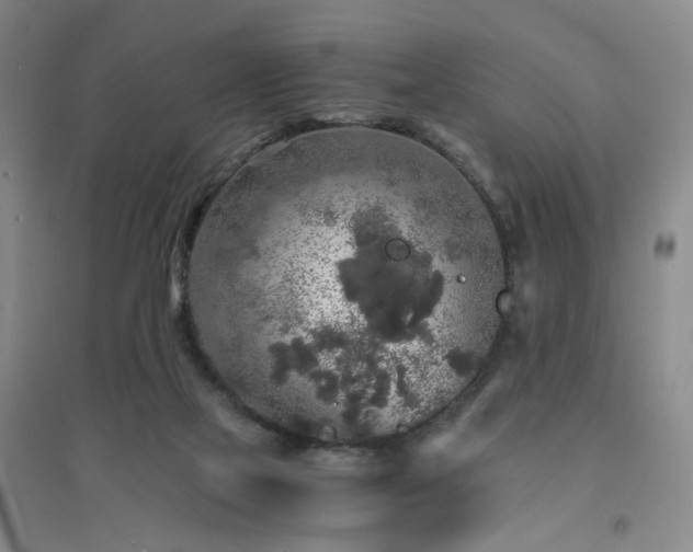 X0000094430069200711151351
