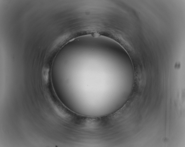 X0000094430070200711151351