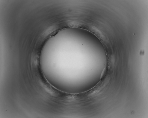 X0000094430071200711151351