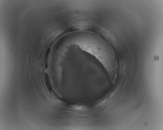 X0000094430073200711151351