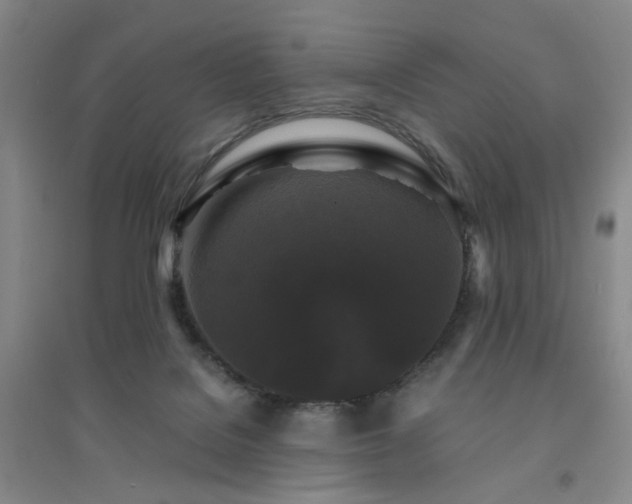 X0000094430076200711151351
