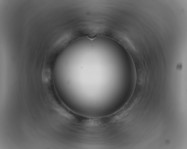 X0000094430077200711151351