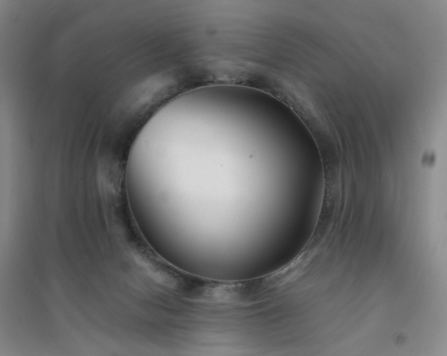 X0000094430078200711151351