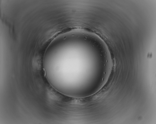 X0000094430080200711151351