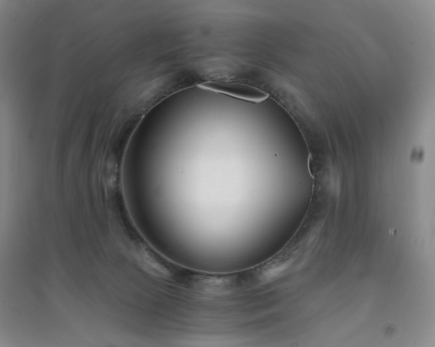 X0000094430081200711151351