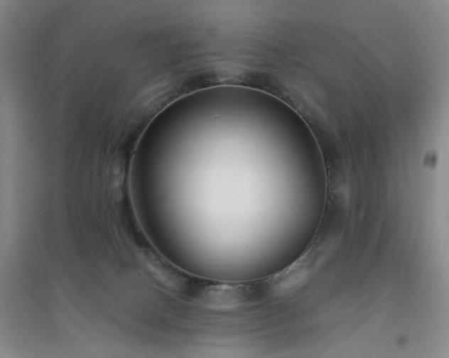 X0000094430082200711151351