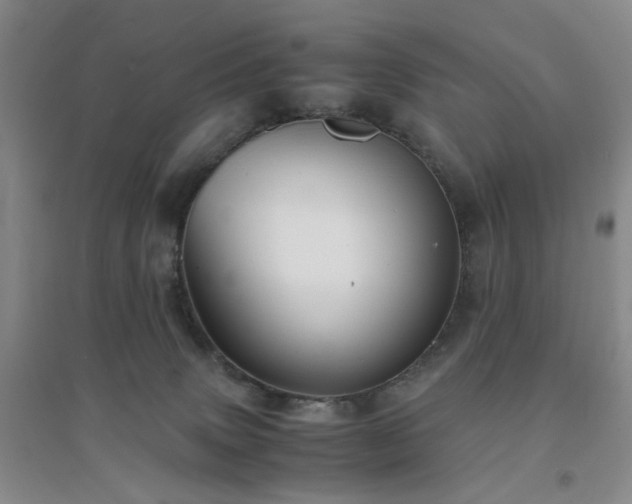X0000094430083200711151351