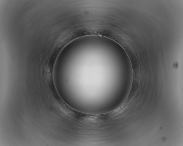 X0000094430086200711151351