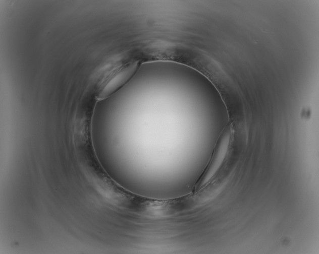 X0000094430088200711151351