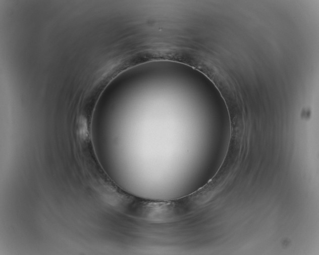 X0000094430089200711151351