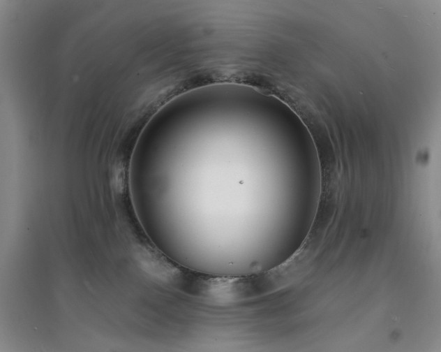 X0000094430090200711151351