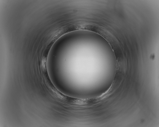 X0000094430094200711151351