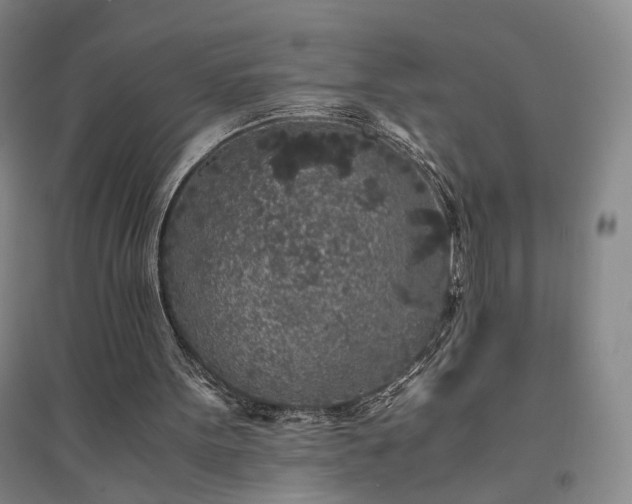 X0000094430099200711151351