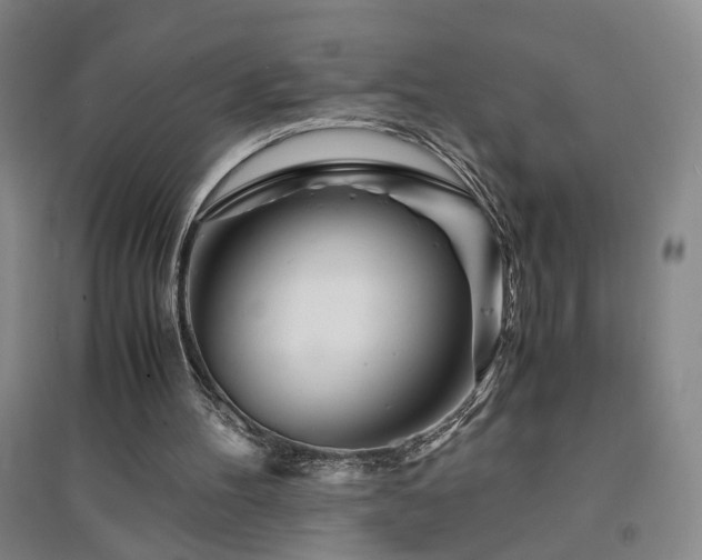 X0000094430100200711151351