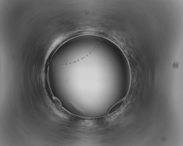 X0000094430102200711151351