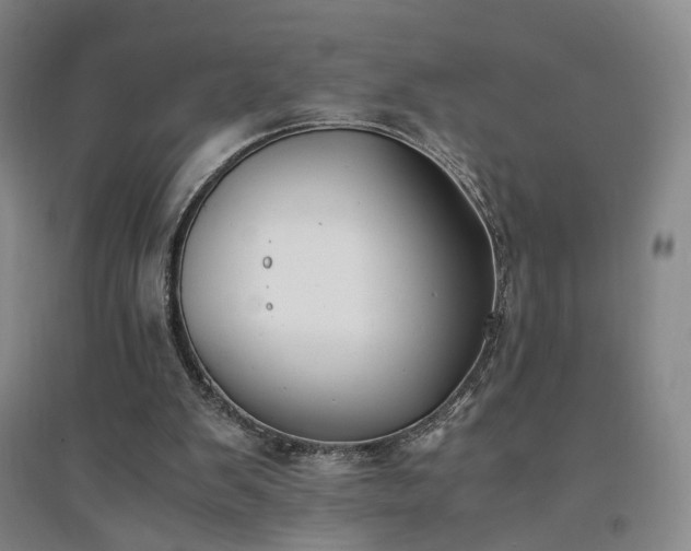 X0000094430103200711151351