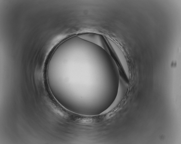 X0000094430104200711151351