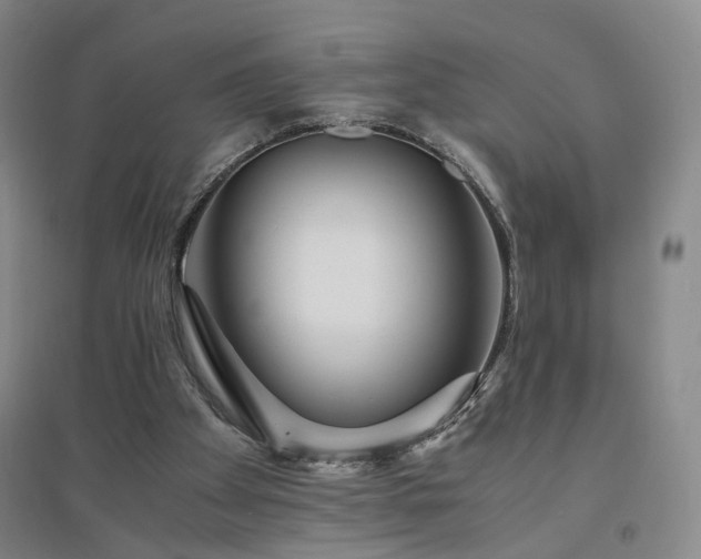 X0000094430105200711151351