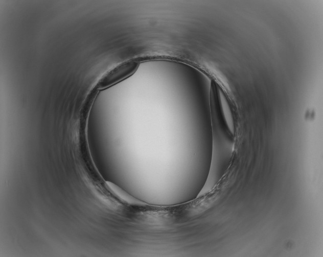 X0000094430108200711151351