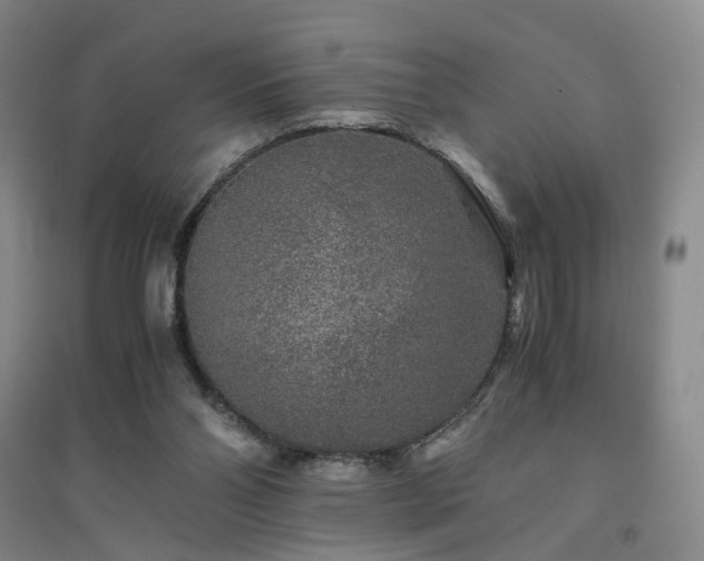 X0000094430110200711151351