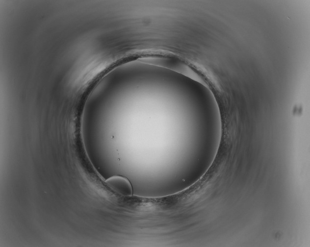 X0000094430111200711151351